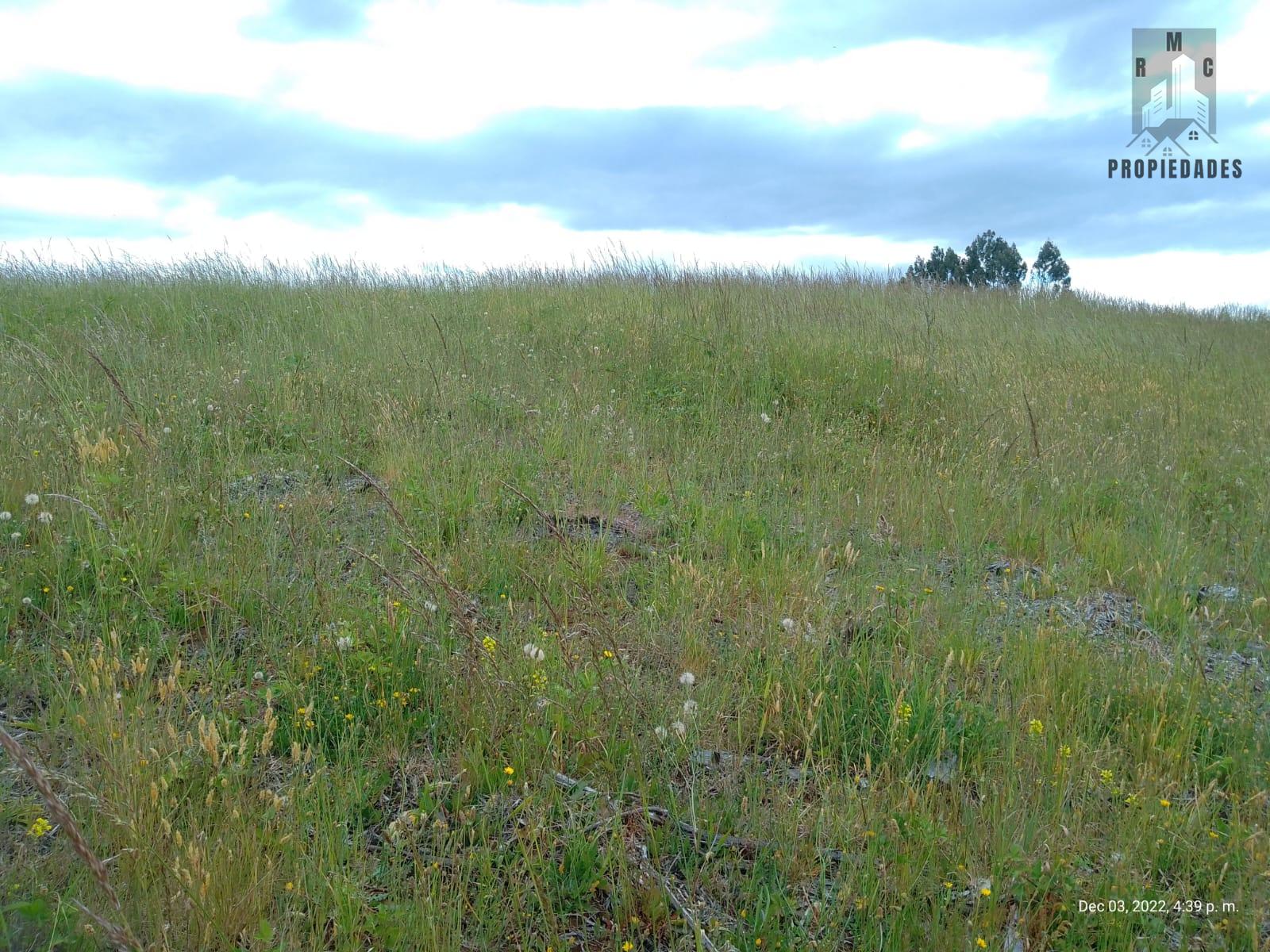 PARCELA  5.000 M2 LOTEO MIRADOR DEL RANCHO A 5 KMS  DE LA UNIÓN